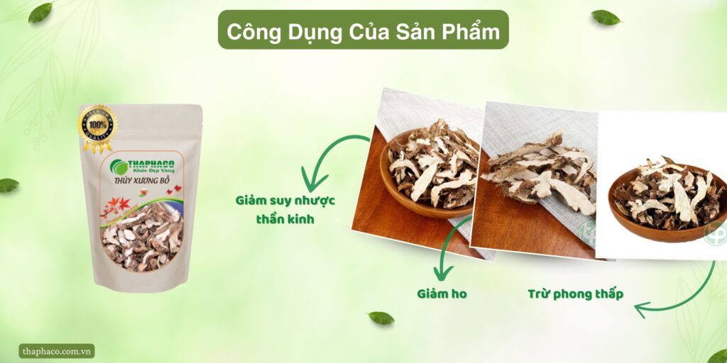 Công dụng của thủy xương bồ tại TP.HCM