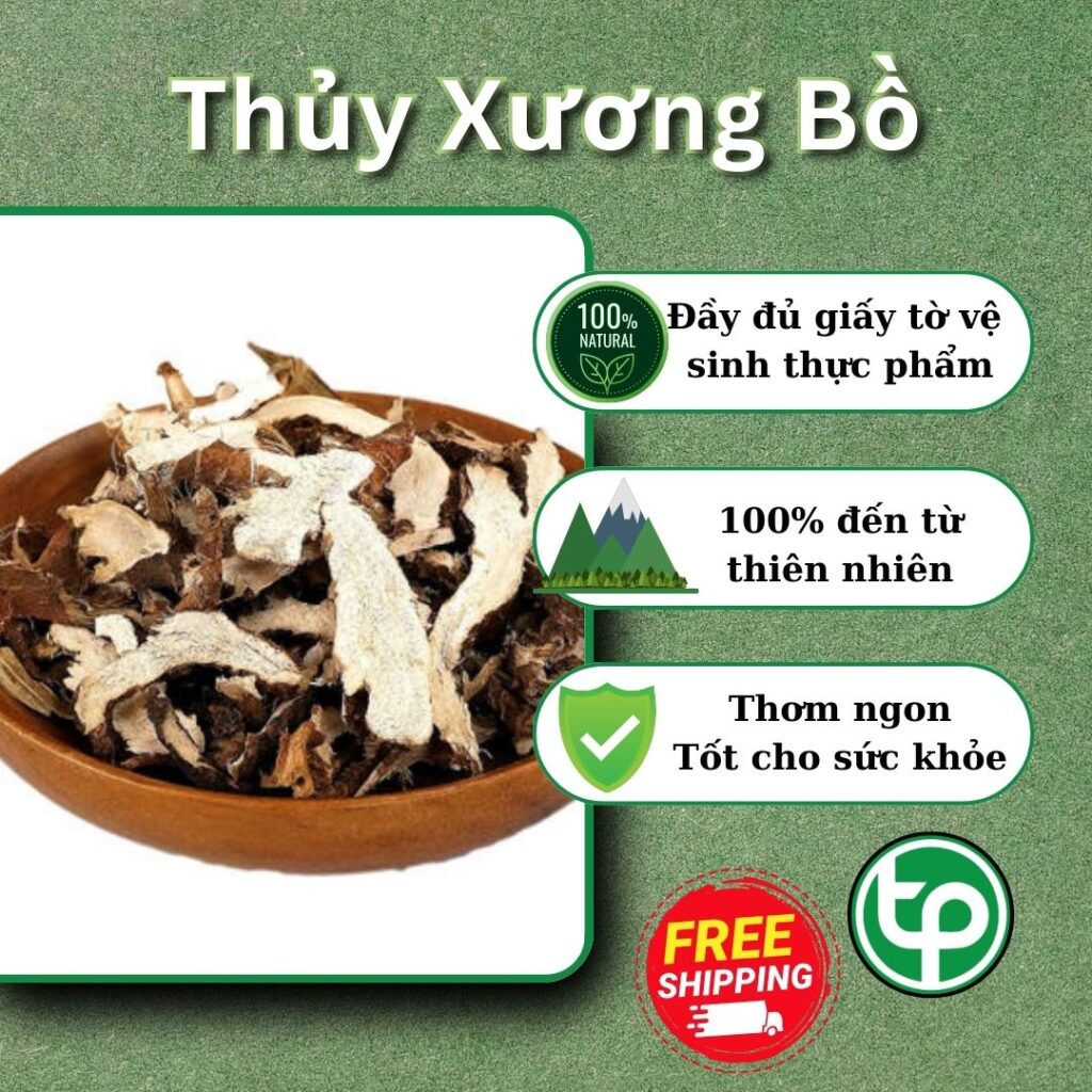 Mua thủy xương bồ tại TP.HCM ở THAPHACO ( Tấn Phát Group )