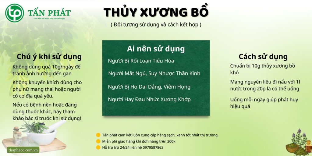 Cách sử dụng thủy xương bồ tại TP.HCM