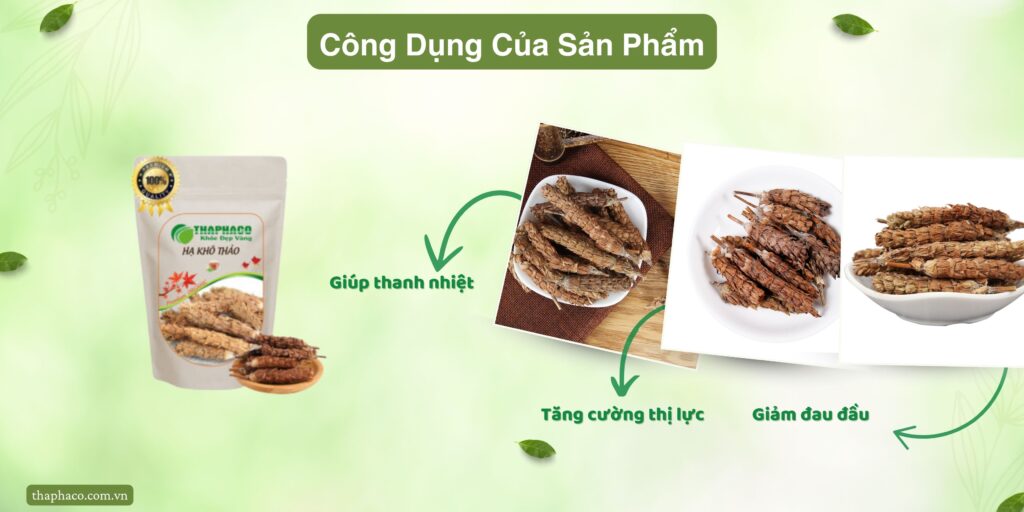 Công dụng của hạ khô thảo tại TP.HCM