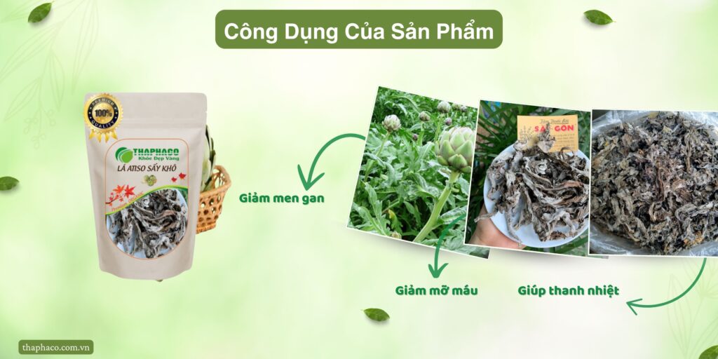 Công dụng của lá atiso tại TP.HCM