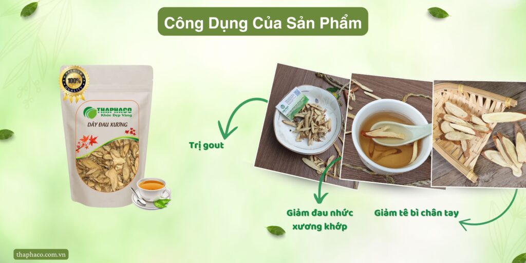 Công dụng của dây đau xương tại TP.HCM