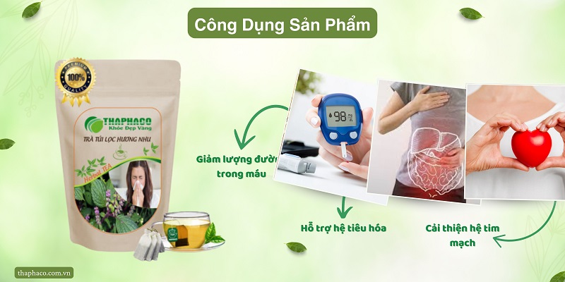 Công dụng của trà túi lọc lá hương nhu