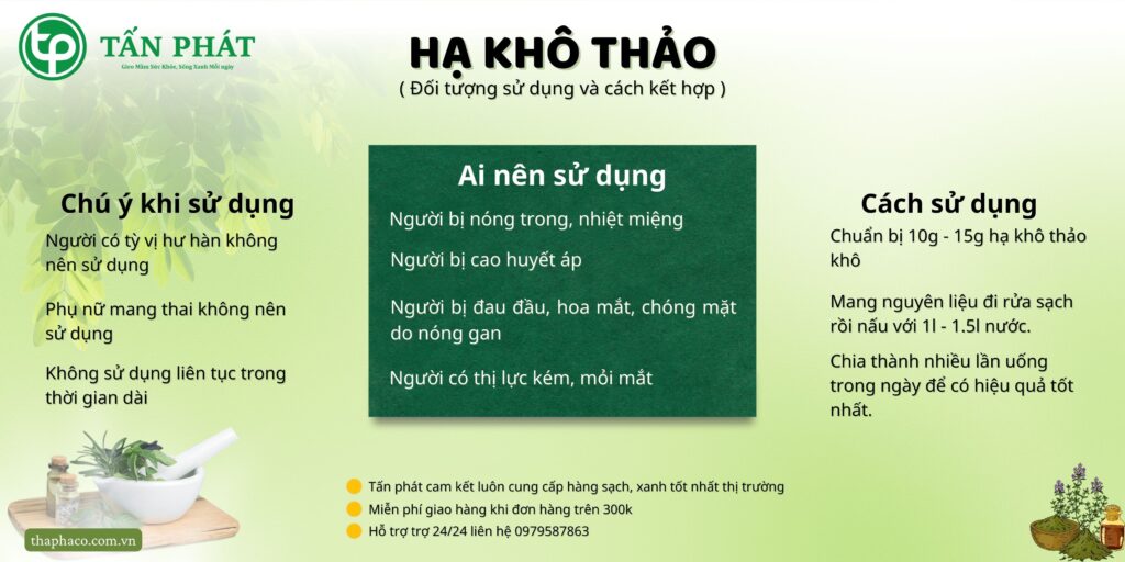 Cách sử dụng hạ khô thảo tại TP.HCM