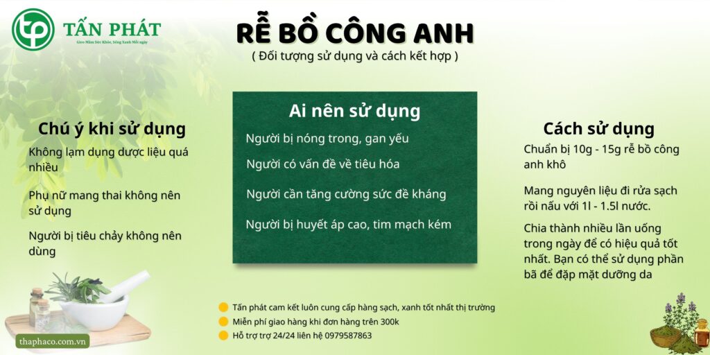 Cách sử dụng rễ bồ công anh tại TP.HCM