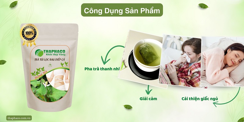 Những lợi ích của trà túi lọc diếp cá mang lại cho sức khỏe