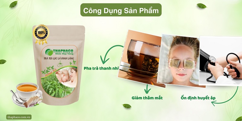 Cách sử dụng trà lá đinh lăng