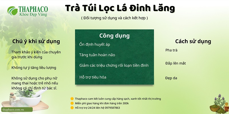 Lưu ý khi dùng trà túi lọc lá đinh lăng