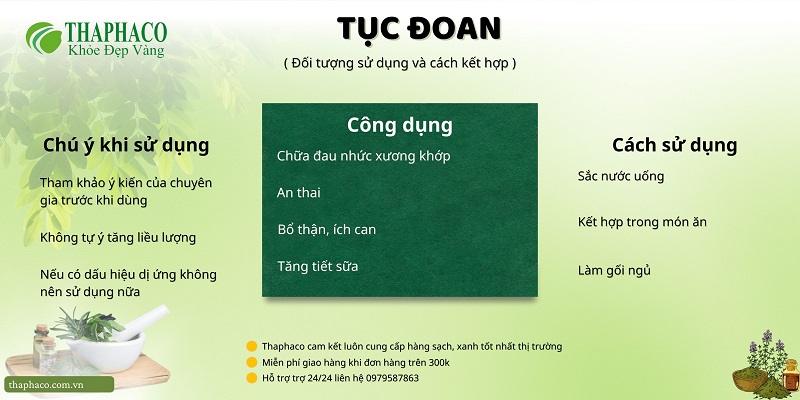 Lưu ý khi dùng tục đoan 