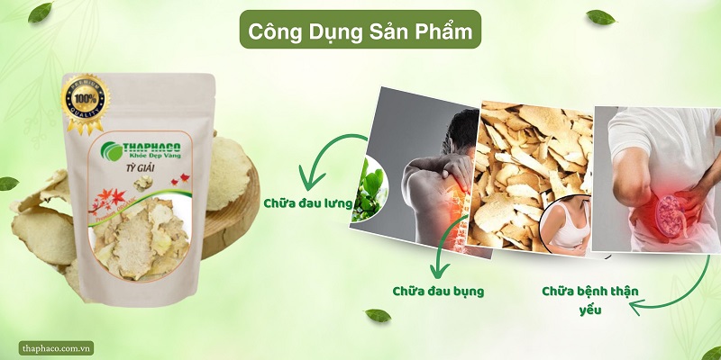 Công dụng của sản phẩm