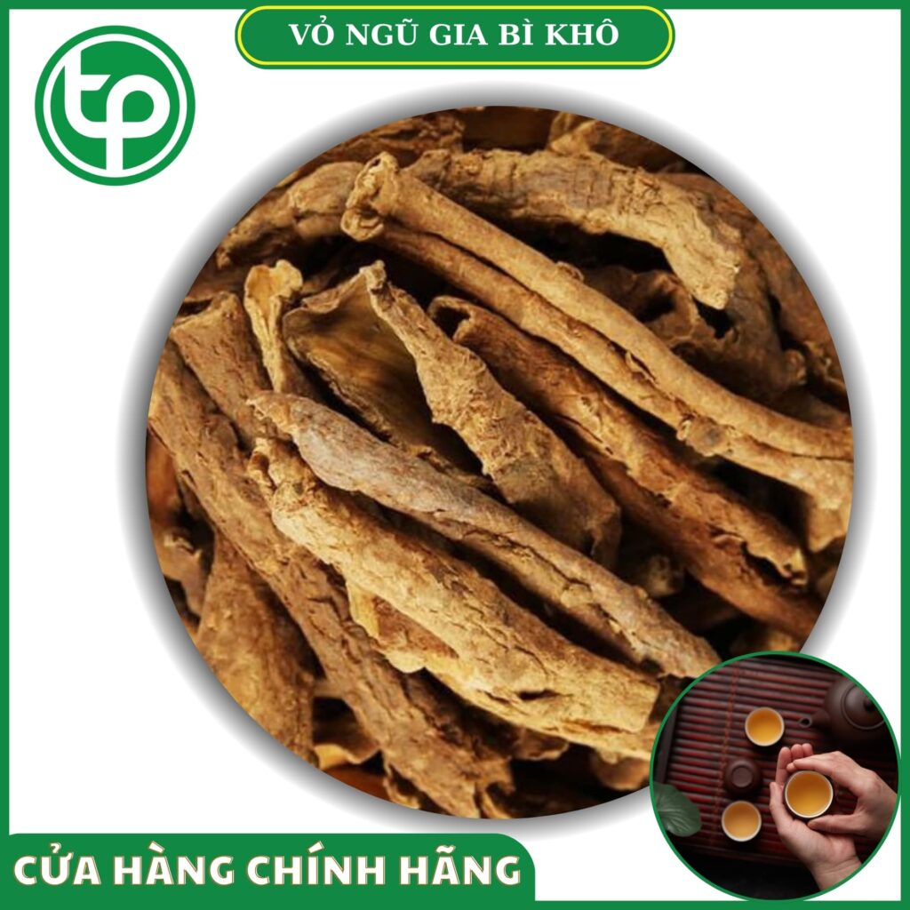 Vỏ ngũ gia bì tại HCM THAPHACO (Tấn Phát Group)