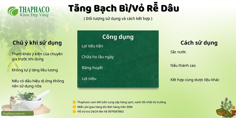 Lưu ý khi dùng vỏ rễ dâu