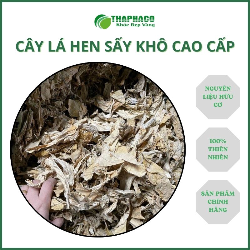 Địa chỉ bán cây lá hen tại TP.HCM uy tín ?