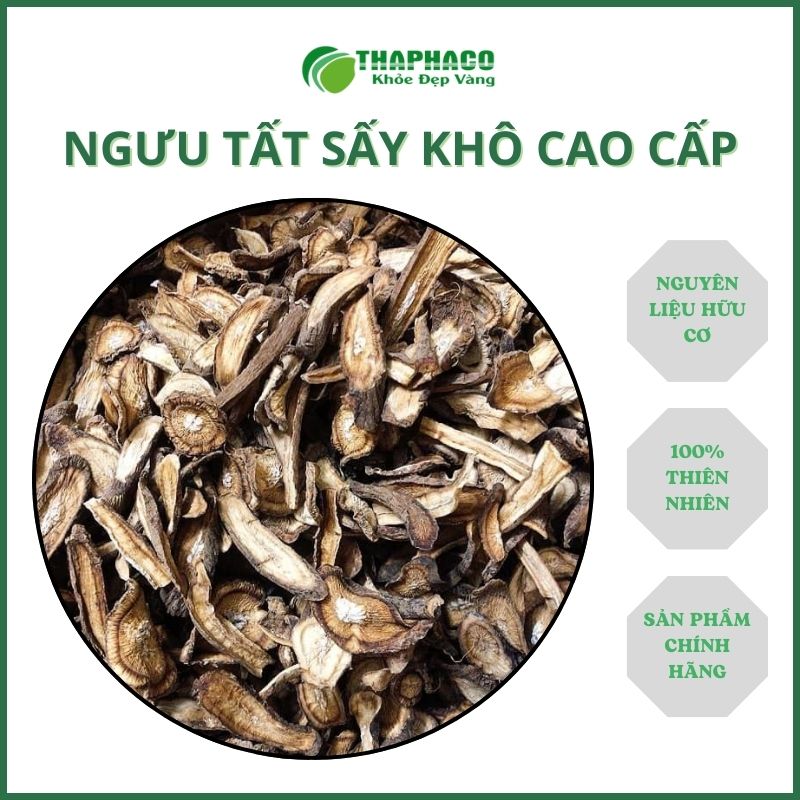 Mua ngưu tất tại TP.HCM ở đâu uy tín ?