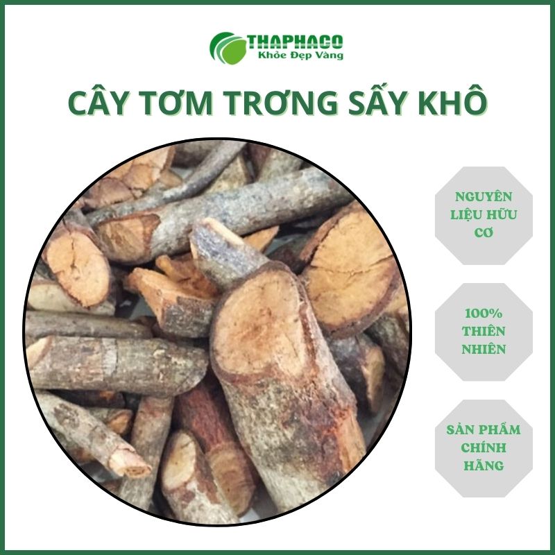 Công dụng của tơm trơng tại TP.HCM