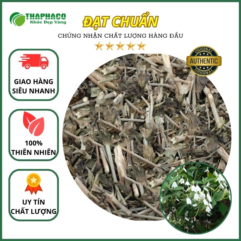 THAPHACO ( Tấn Phát Group ) là địa chỉ bán cây kiến cò tại TP.HCM