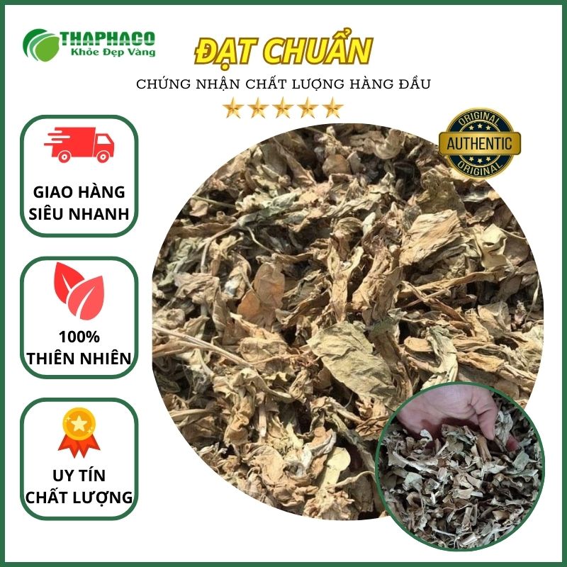 THAPHACO ( Tấn Phát Group ) là địa chỉ bán cây lá hen tại TP.HCM uy tín