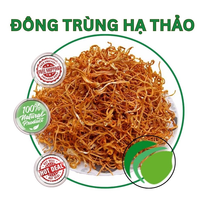 Đông trùng hạ thảo tại HCM THAPHACO (Tấn Phát Group)