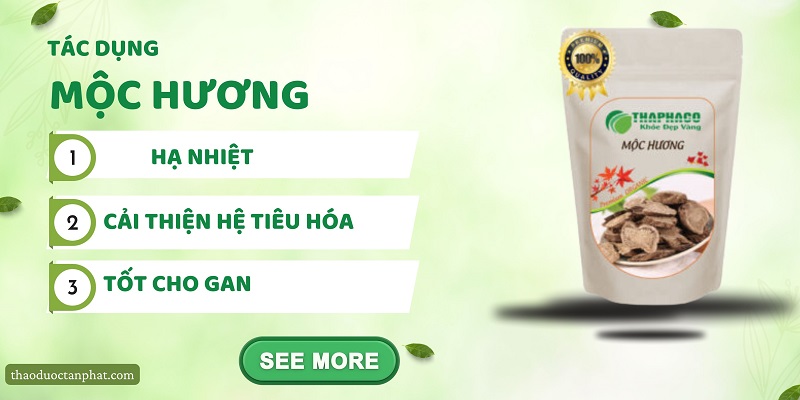 Mộc hương đem lại tác dụng gì cho sức khỏe?