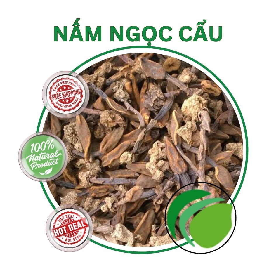 Nấm ngọc cẩu tại HCM THAPHACO (Tấn Phát Group)