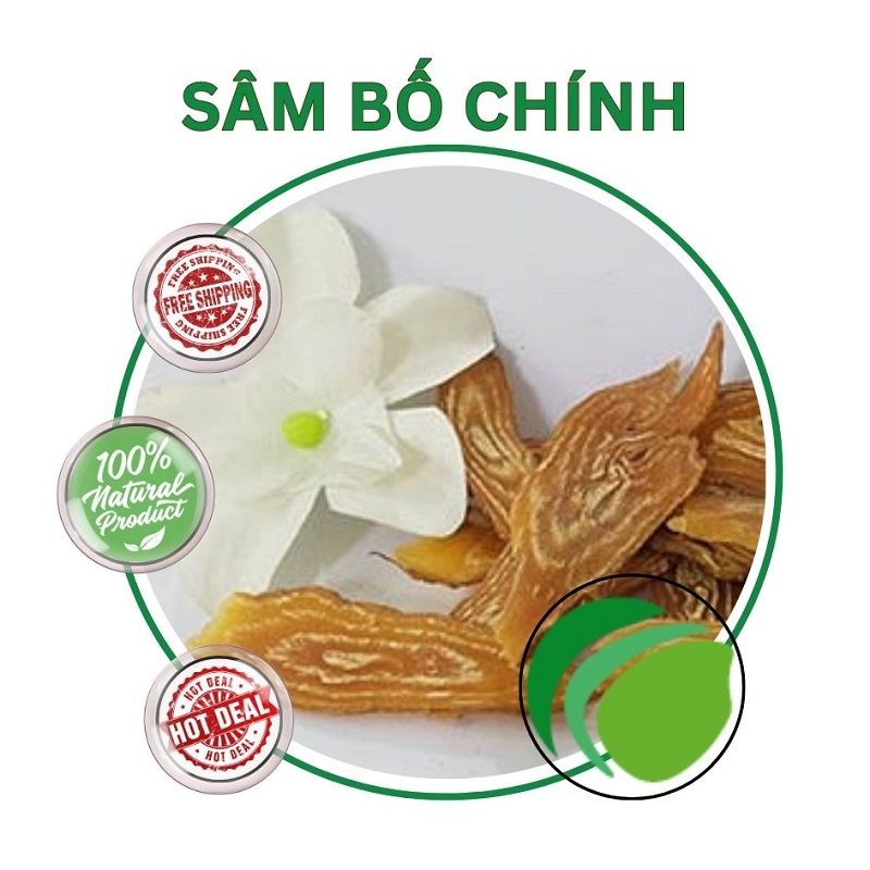 Sâm bố chính tại HCM THAPHACO (Tấn Phát Group)