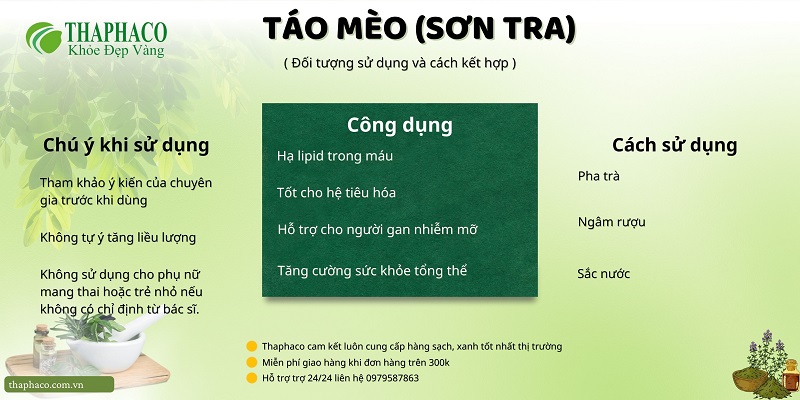 Lưu ý khi dùng táo mèo (sơn tra)