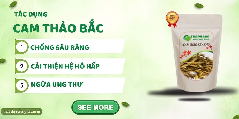 Công dụng của cam thảo bắc