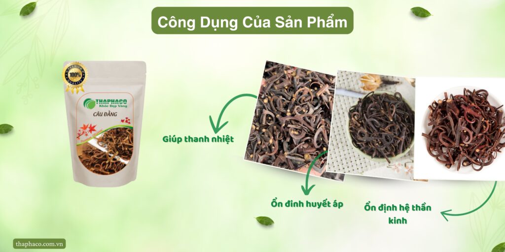 Công dụng của câu đằng tại TP.HCM