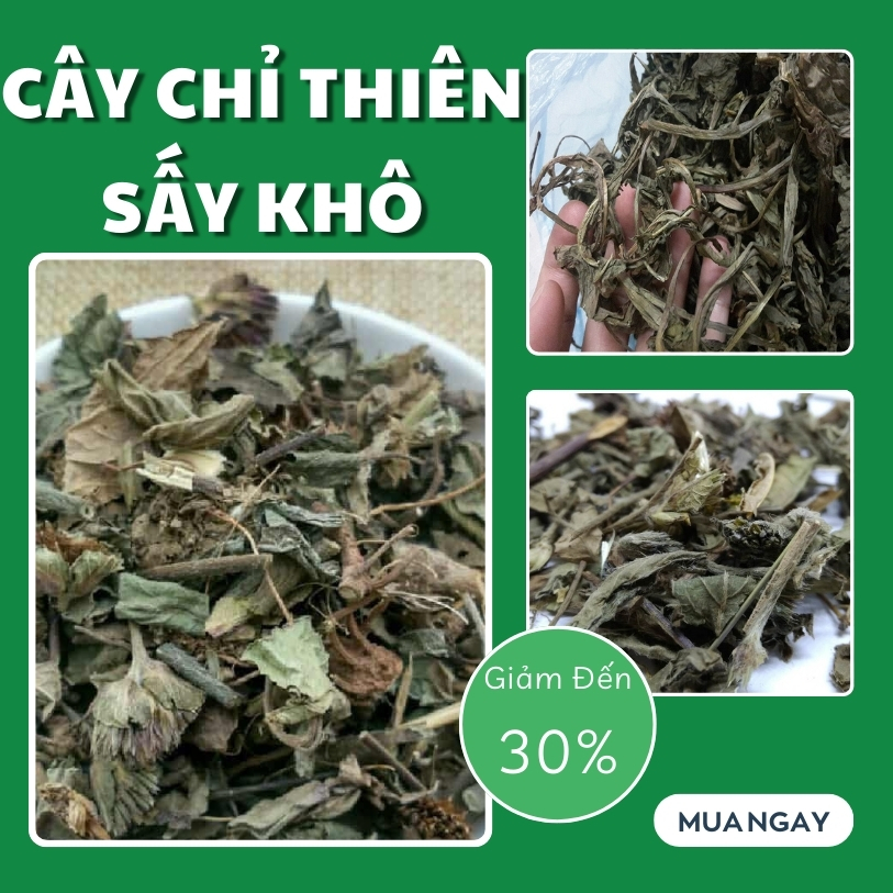 Địa chỉ bán cỏ chỉ thiên tại TP.HCM ở đâu ?