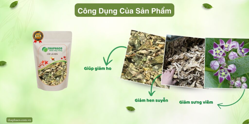 Công dụng của cây lá hen tại TP.HCM