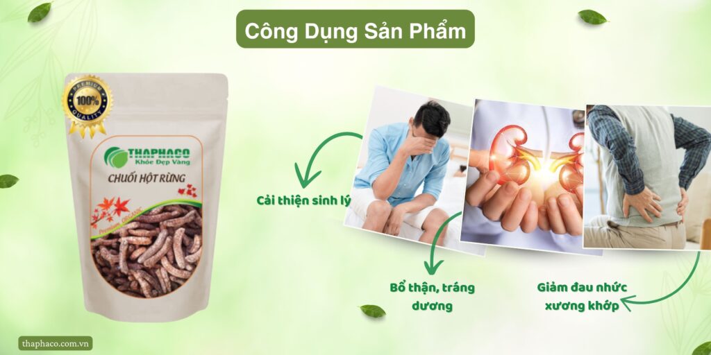 Công dụng của chuối hột rừng