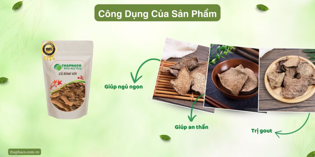 Công dụng của củ bình vôi tại TP.HCM