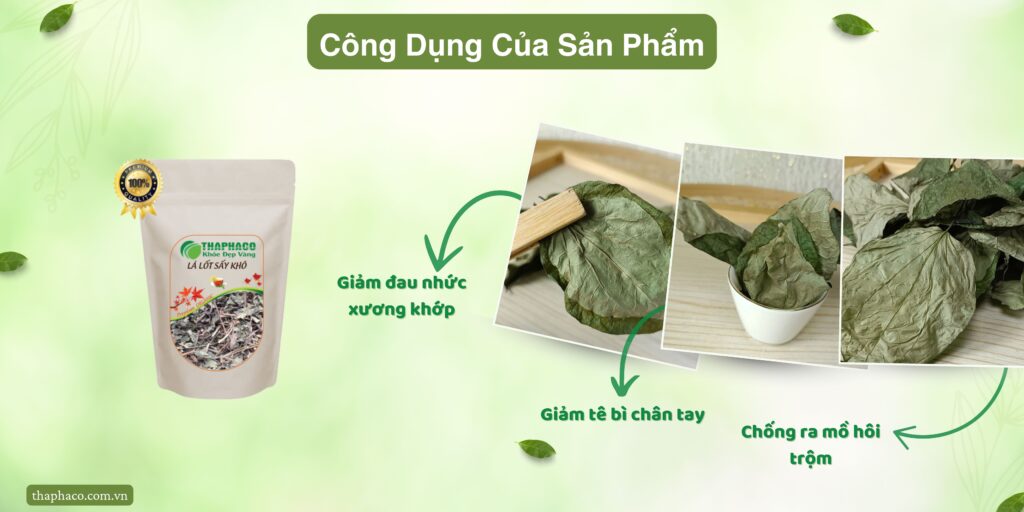 Công dụng của lá lốt khô tại TP.HCM