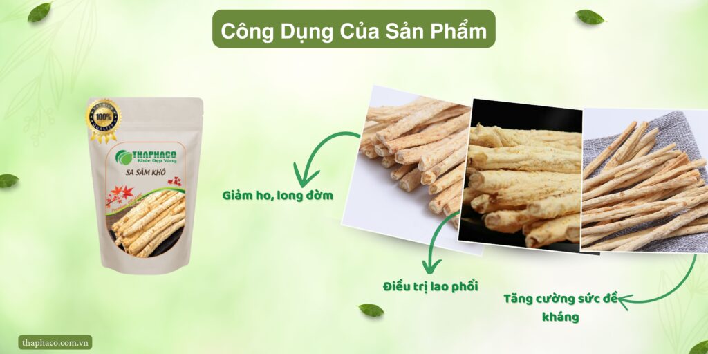 Công dụng của sa sâm tại TP.HCM