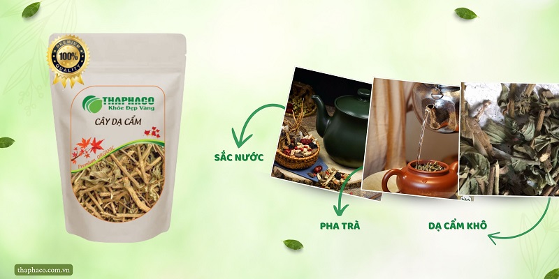 Dạ cẩm tại THAPHACO