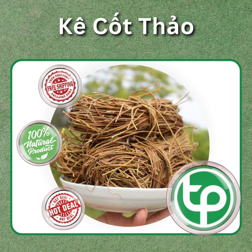 Mua kê cốt thảo tại TP.HCM