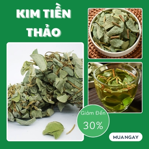 THAPHACO ( Tấn Phát Group ) là địa chỉ bán kim tiền thảo tại TP.HCM uy tín