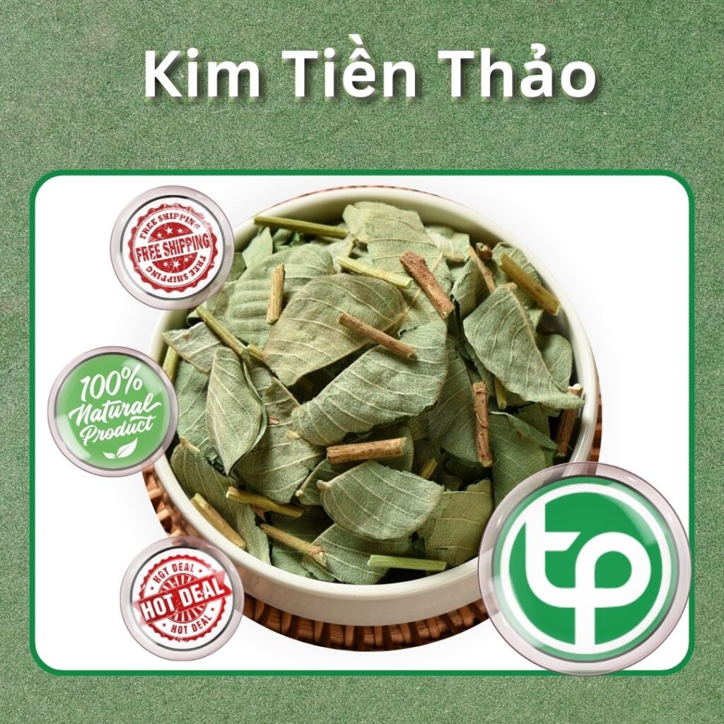 Mua ngay kim tiền thảo tại TP.HCM ở THAPHACO ( Tấn Phát Group )