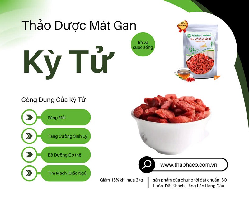 Kỷ tử tại HCM THAPHACO (Tấn Phát Group)