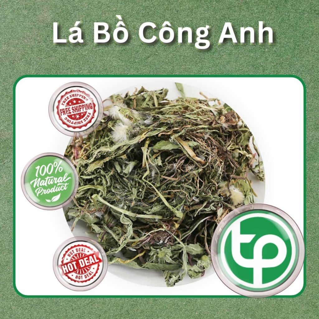 Lá bồ công anh tại TP.HCM