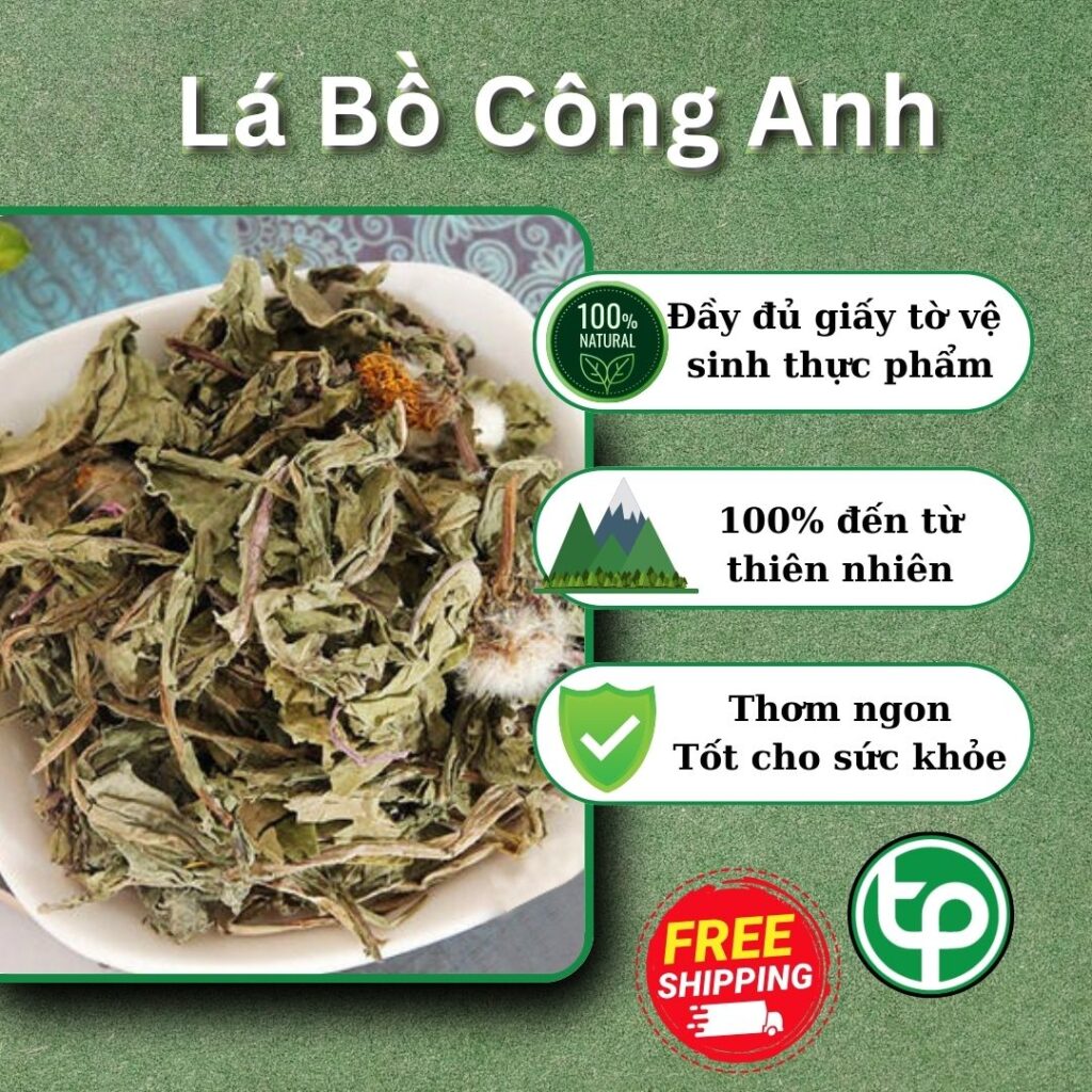 THAPHACO ( Tấn Phát Group ) là địa chỉ bán lá bồ côn anh tại TP.HCM uy tín