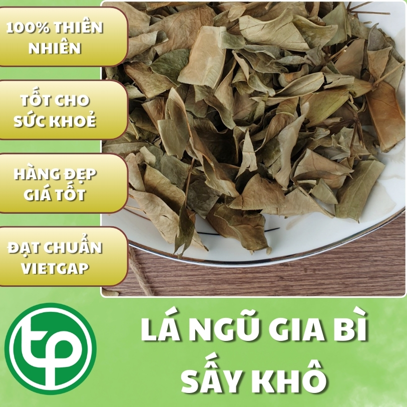 Mua lá ngũ gia bì tại TP.HCM ở đâu uy tín ?