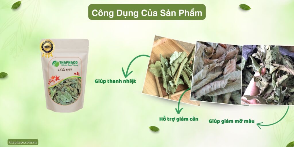 Công dụng của lá ổi khô tại TP.HCM