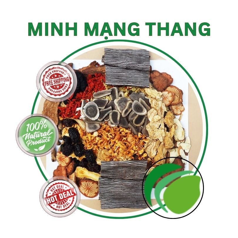 Minh mạng thang tại HCM THAPHACO (Tấn Phát Group)