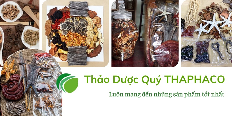 Thang thuốc quý của THAPHACO (Tấn Phát Group)