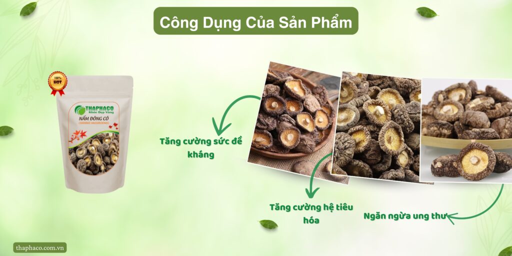 Công dụng của nấm đông cô tại TP.HCM