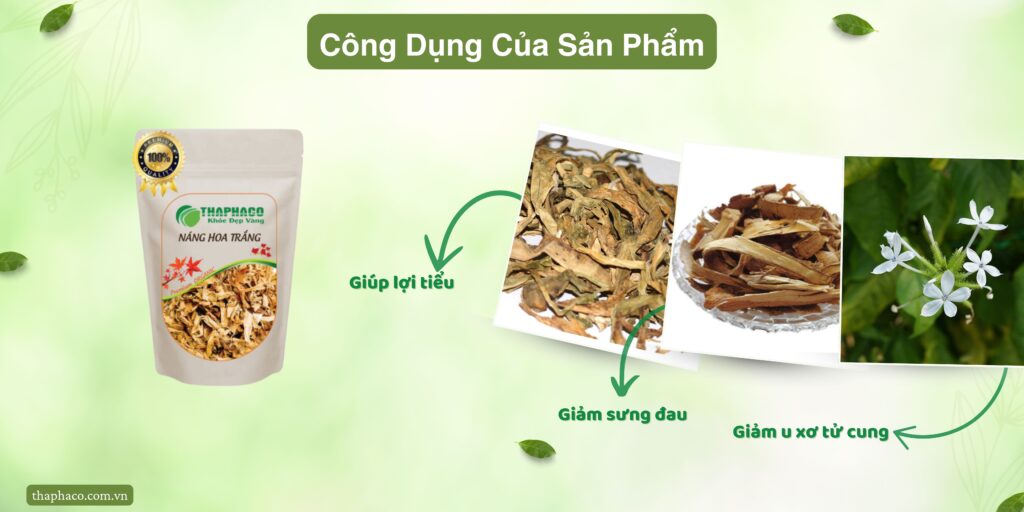 Công dụng của náng hoa trắng tại TP.HCM