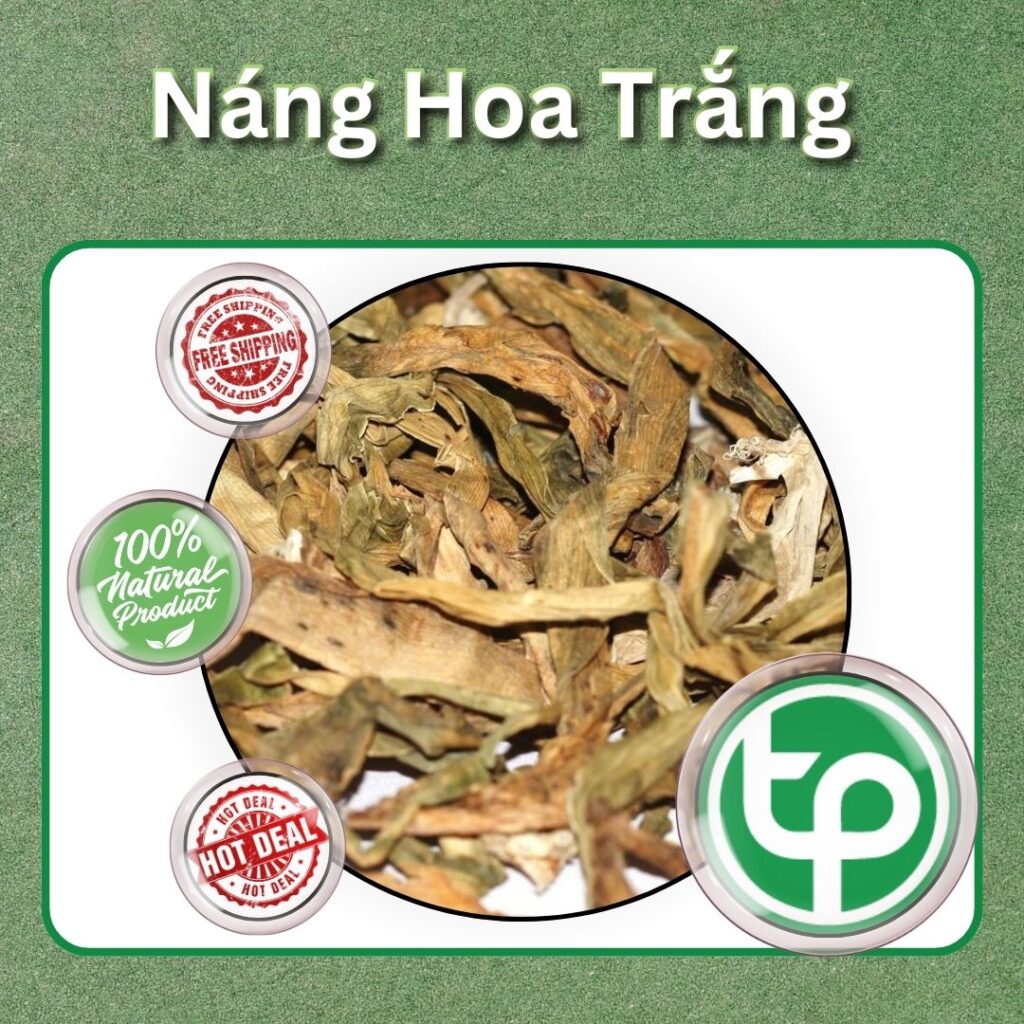 Mua náng hoa trắng tại TP.HCM ở THAPHACO ( Tấn Phát Group )