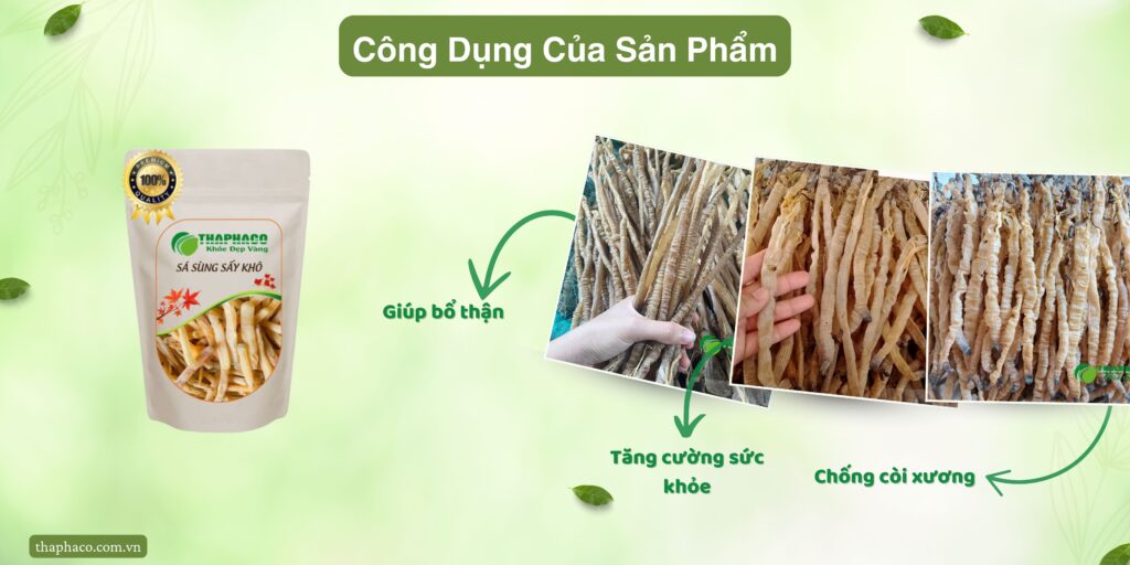 Công dụng của sá sùng tại TP.HCM