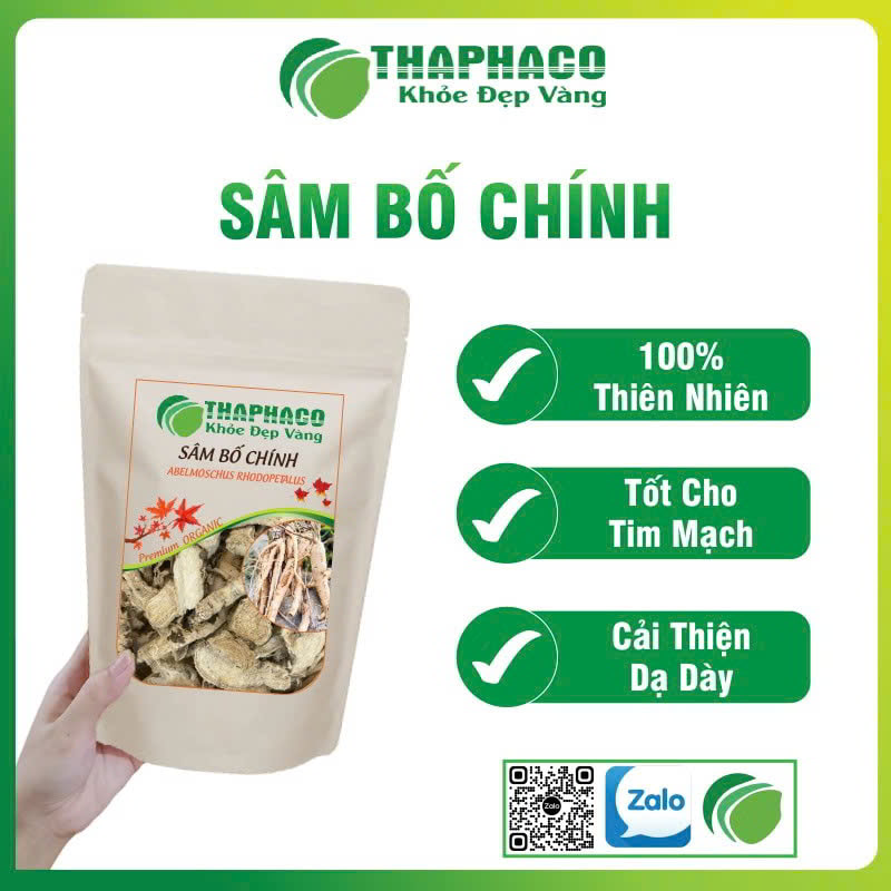 Sâm bố chính sấy khô tại TP.HCM